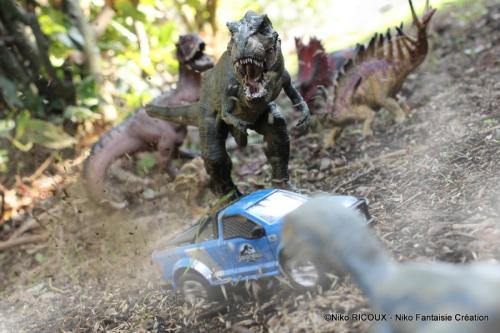 nikofantaisiecreation