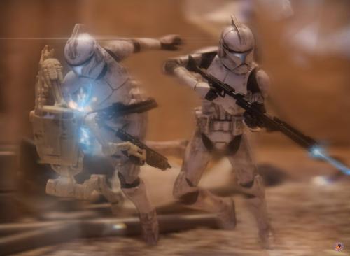 phoenix toyphotography