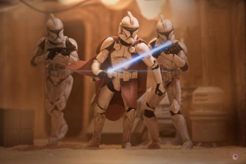 phoenix toyphotography